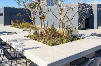 ルーフトップガーデン