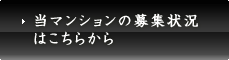 ޥ󥷥罸Ϥ餫